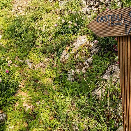 Affittacamere Castelli Olive Press Acharavi  Esterno foto