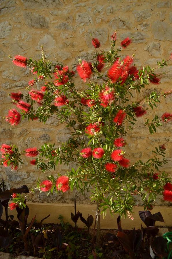 Affittacamere Castelli Olive Press Acharavi  Esterno foto